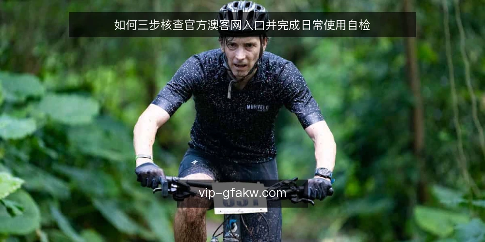 如何三步核查官方澳客网入口并完成日常使用自检 — 为何现在要审计官方澳客网入口 配图